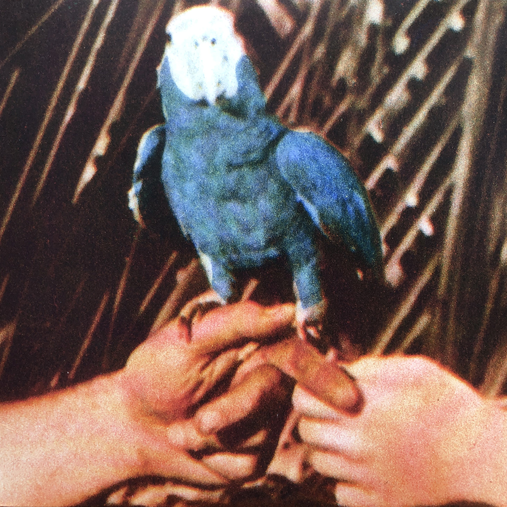 John Baldessari